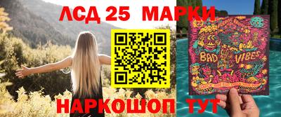 молекула духа Дмитров