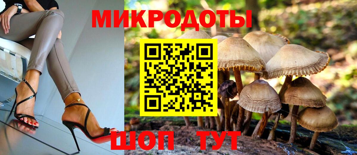 Галлюциногенные грибы Cubensis Вязники